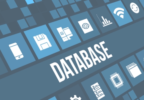 Large historical database